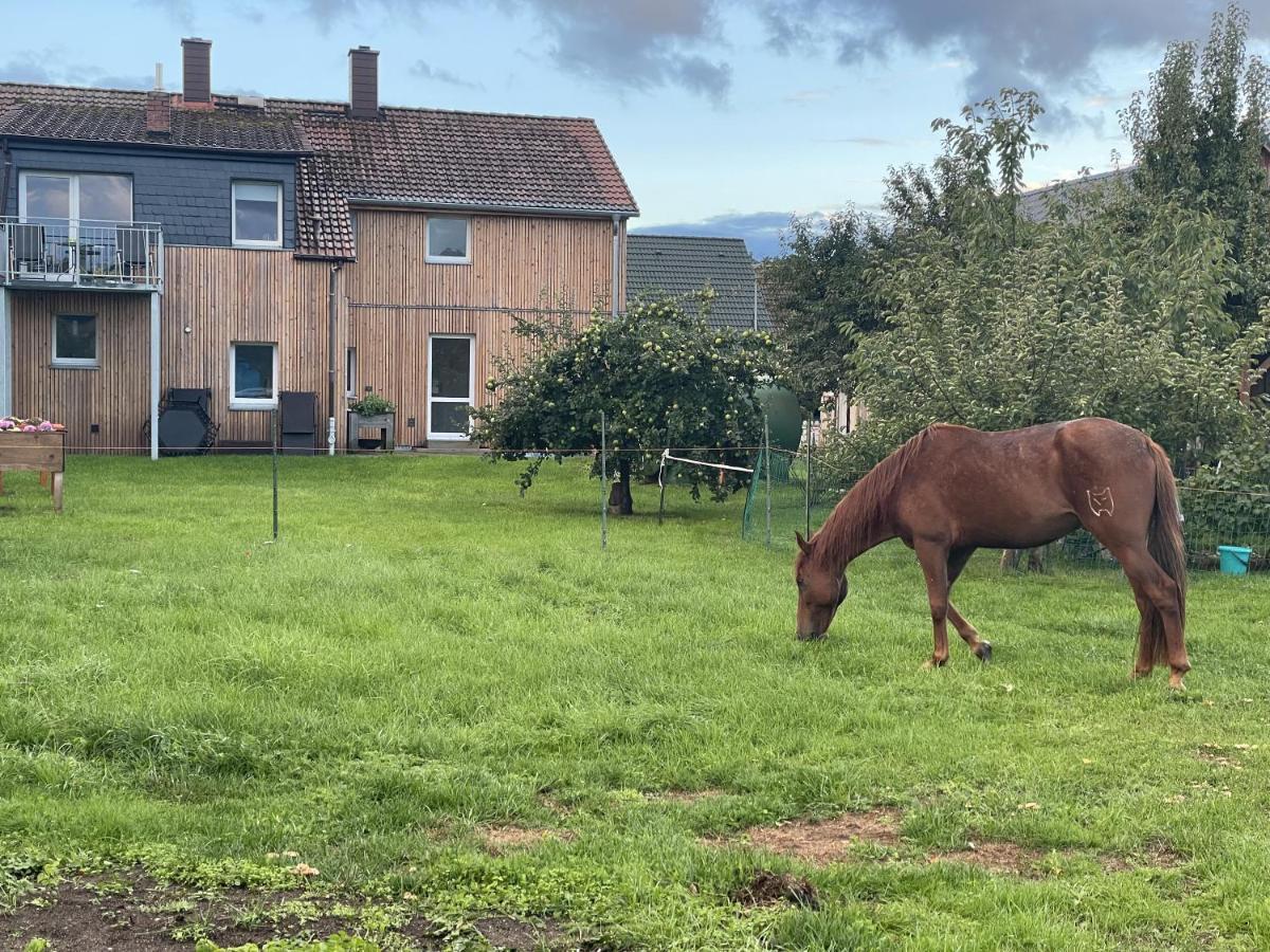 Urlaub Auf Dem Land Apartamento Triepkendorf Exterior foto